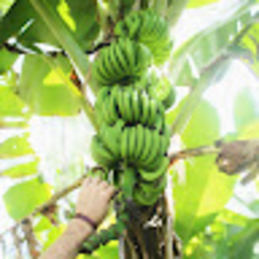 Meet your Posher, Kalpesh